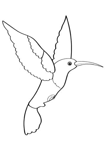 Ausmalbild Kolibri