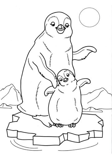 Ausmalbild Pinguinbaby und seine Mama