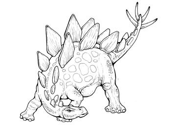 Ausmalbild Stegosaurus