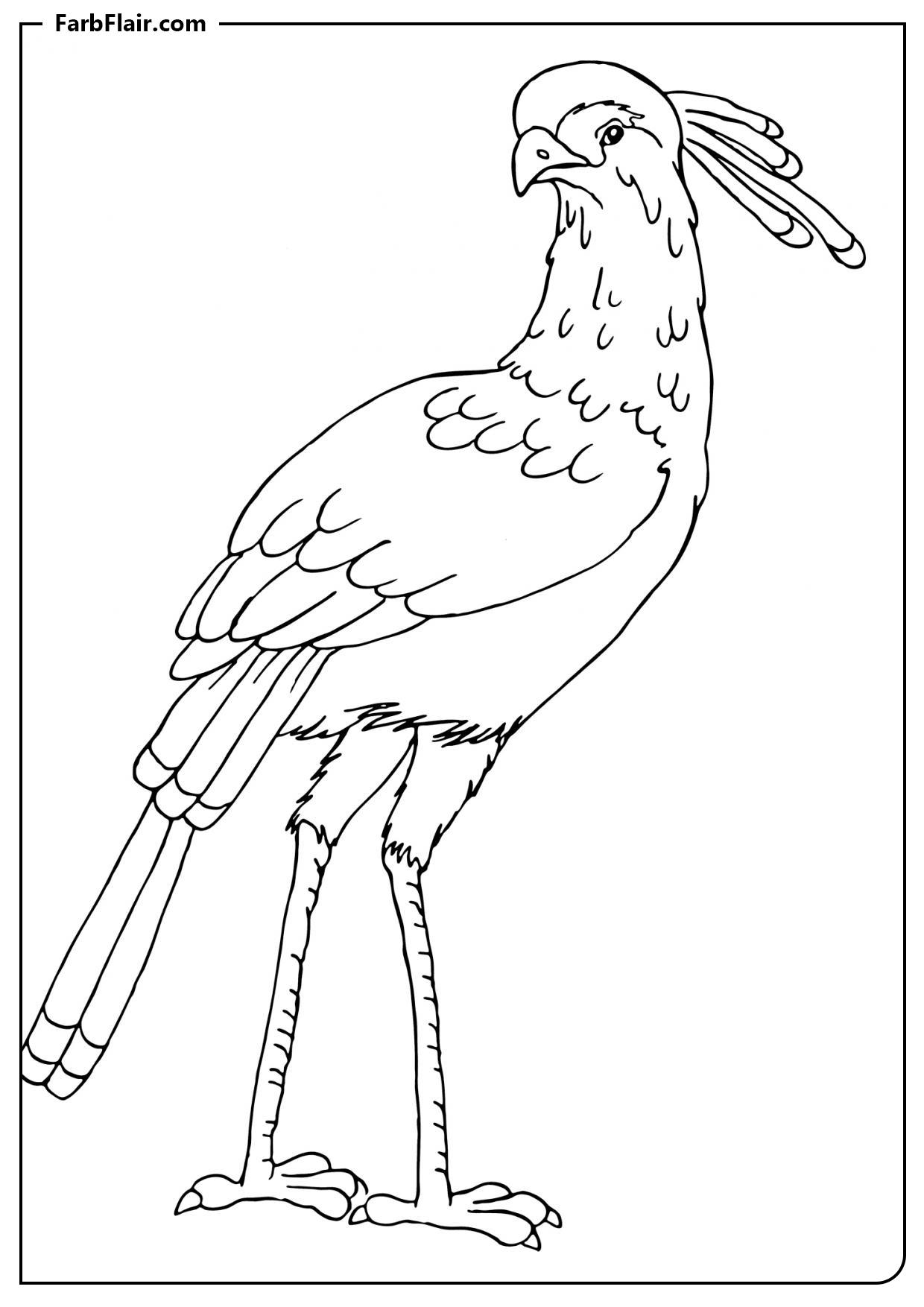 Ausmalbild Geschäftsvogel-Sekretär Kostenloses