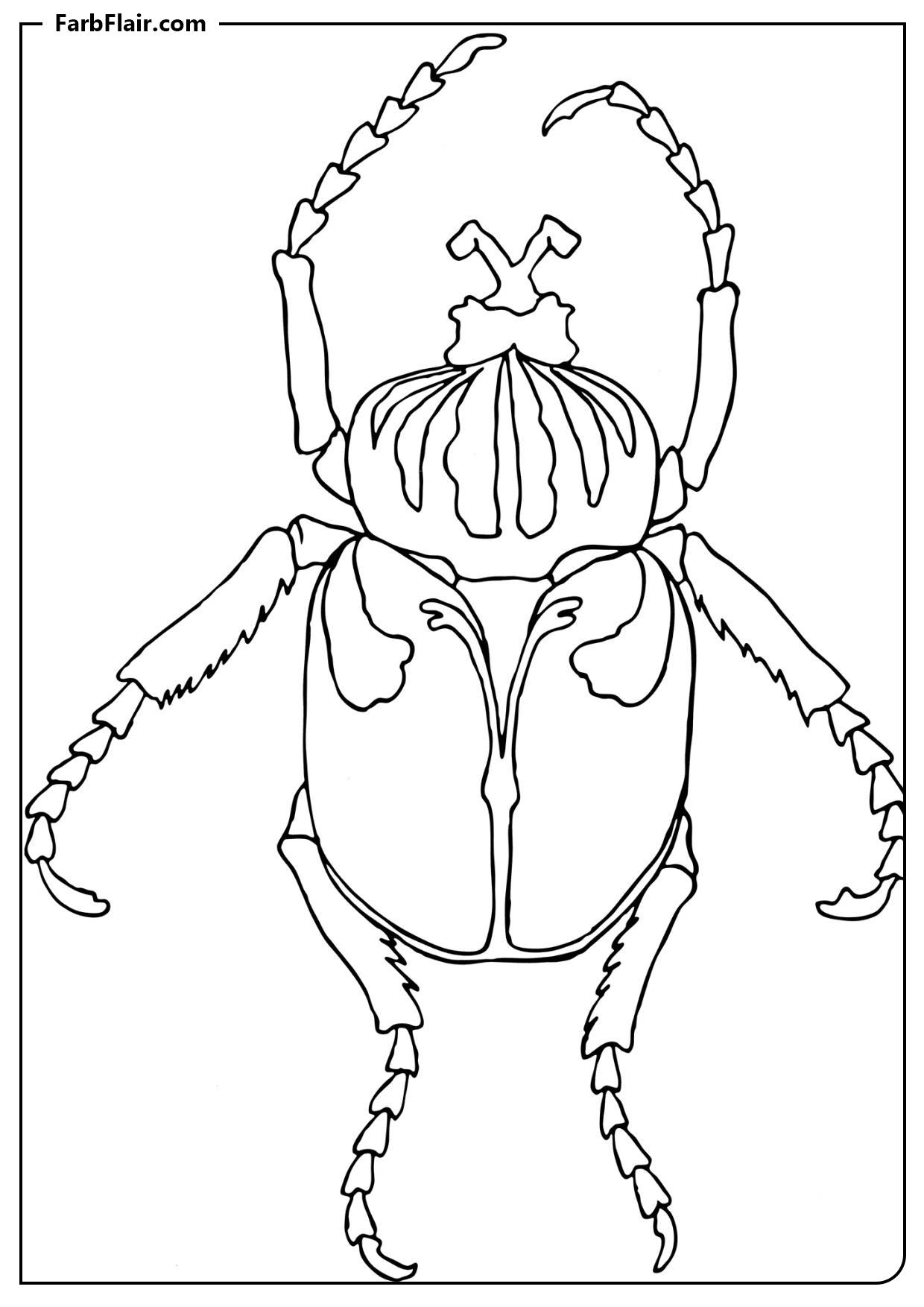 Ausmalbild Goliathkäfer Kostenloses