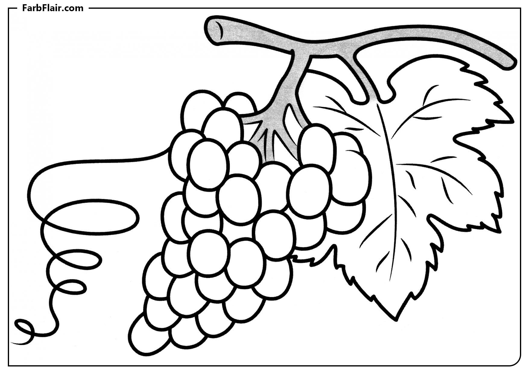 Ausmalbild Weinrebe Kostenloses